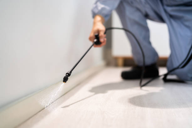 Licensed Pest Control service in Hoopers Creek, NC - Show Me Pest Control