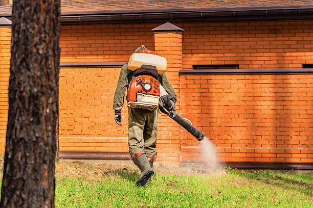 Top rated local Ant Control specialists in Hoopers Creek, NC